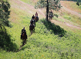 Make sure to read our Things to Know section to help you have a fun horsebackriding experience with Okanagan Stables.