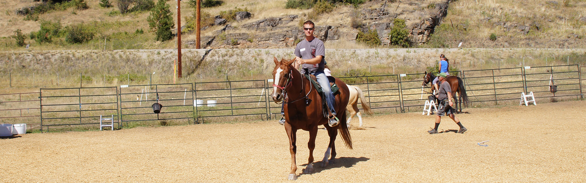 Okanagan Stables in Oyama - read what our customers are saying about us!