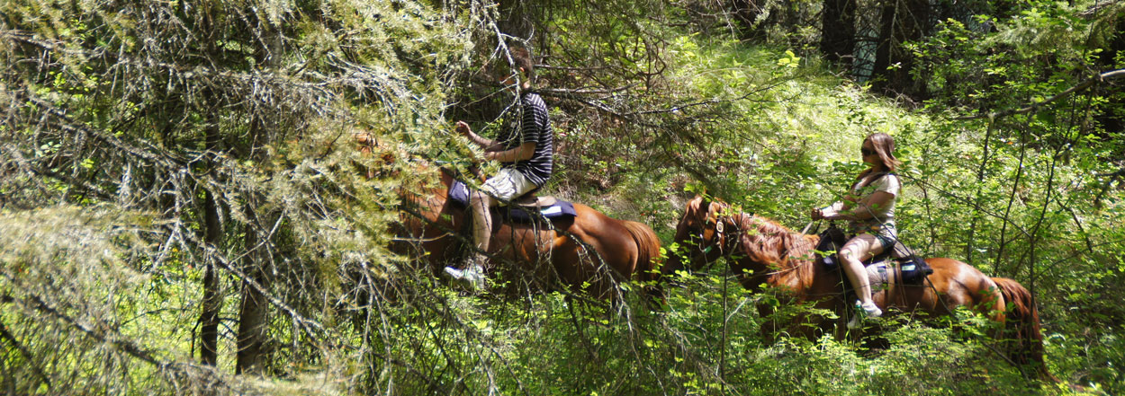 Wonderful horseback riding experience from Okanagan Stables, located in Oyama, BC