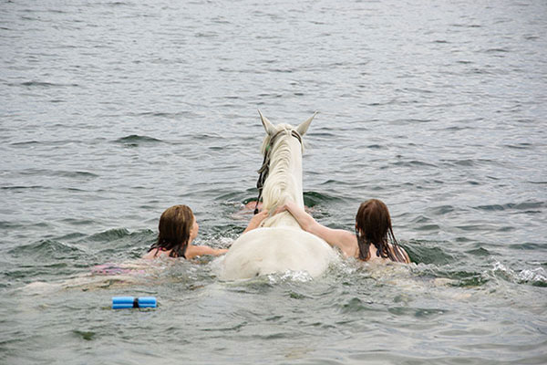 One of Okanagan Stables' signature rides is Swim with Horses, an incredible experience for all!