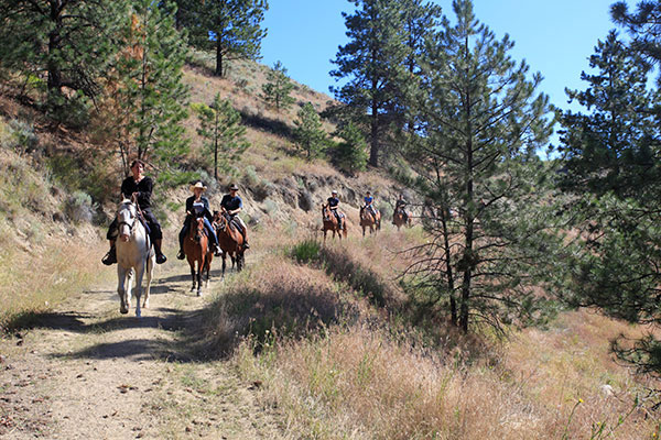 All riders can enjoy a trail ride from Okanagan Stables, from beginner to expert rider.