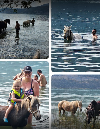 Collage of fun by Kellodi who had a great visit to Okanagan Stables and a great horseback riding experience.